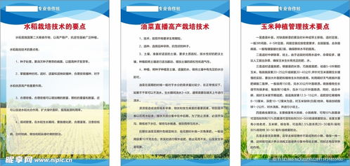 農作物栽培管理技術設計圖及其在農業技術研究中的應用