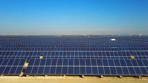 光伏行情趨熱回暖，專家提醒 產業發展需理性，技術創新是核心